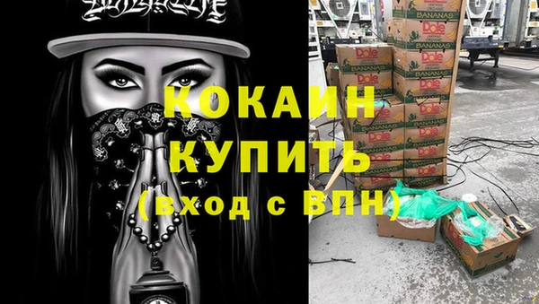 хмурый Дмитров