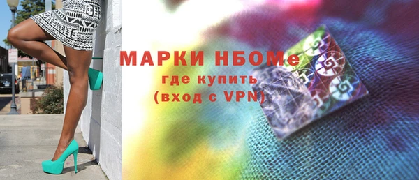 хмурый Дмитров