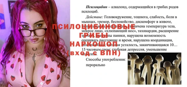 хмурый Дмитров