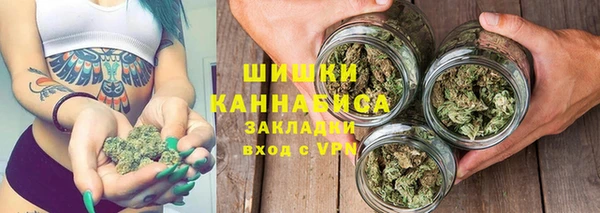 хмурый Дмитров