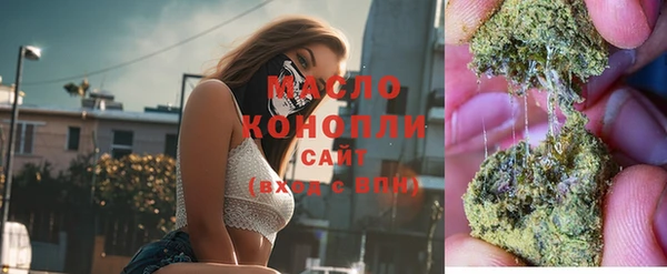хмурый Дмитров