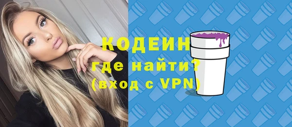 хмурый Дмитров