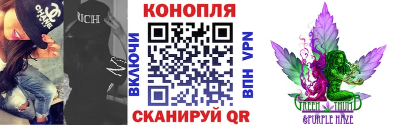 Бошки марихуана THC 21%  Купить  Цимлянск 